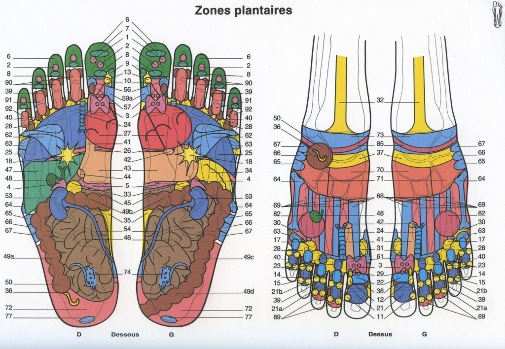 Plache-pied-M-MEUNIER_1-1024×708